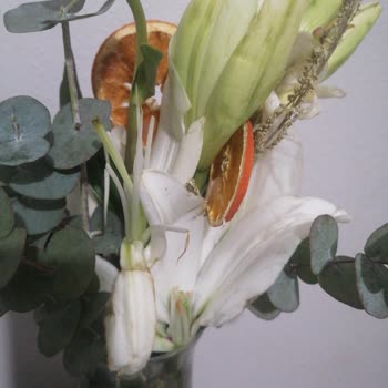 Çiçek Yerine Gelen Nesne Şoku