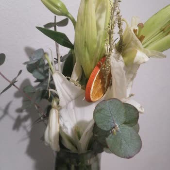 Çiçek Yerine Gelen Nesne Şoku