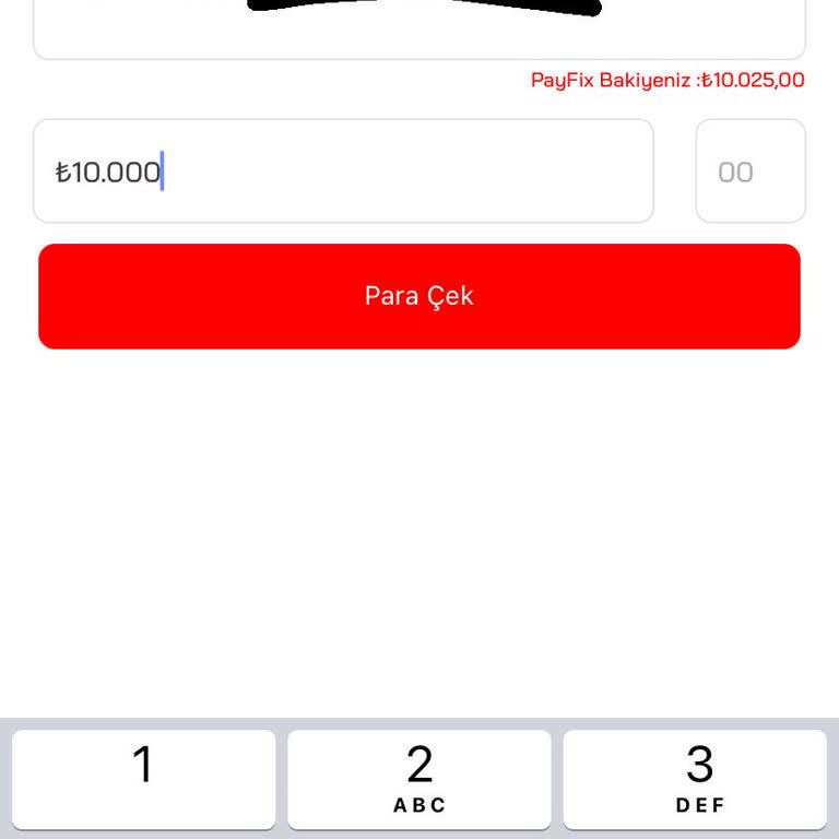 Payfix Hesabından Banka Hesabına Para Transferi Sorunu
