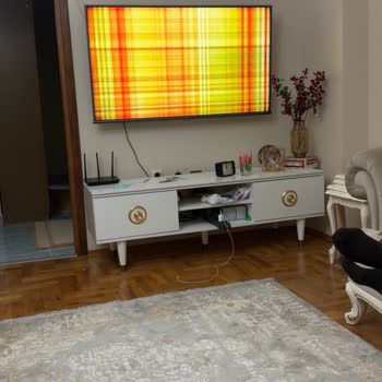 Uzatma Garantisinin Mağduriyeti: Televizyon Arızasında Çözüm Yok