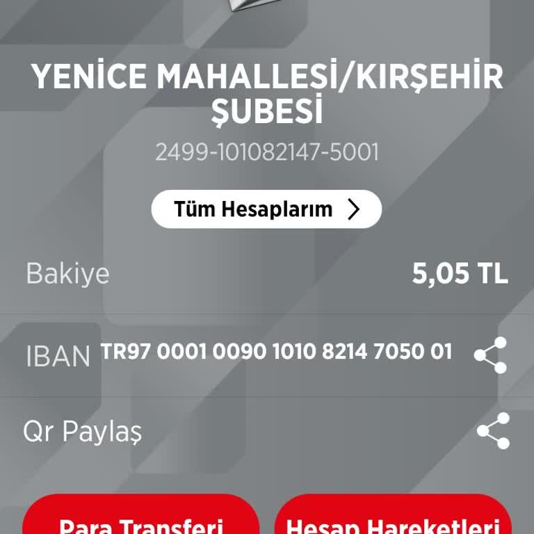 Acil İhtiyaç: Beklenen Para Hesabıma Ulaşmadı