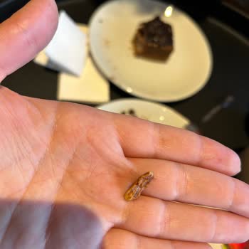 Sevgililer Günü Tatlısında Ceviz Kabuğu Sürprizi