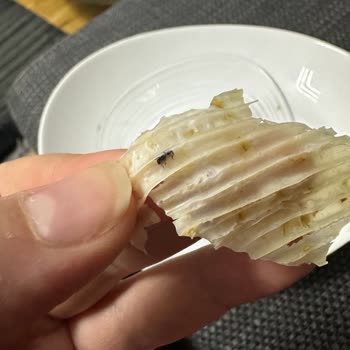 Tarhana Paketinde Böcek Şoku