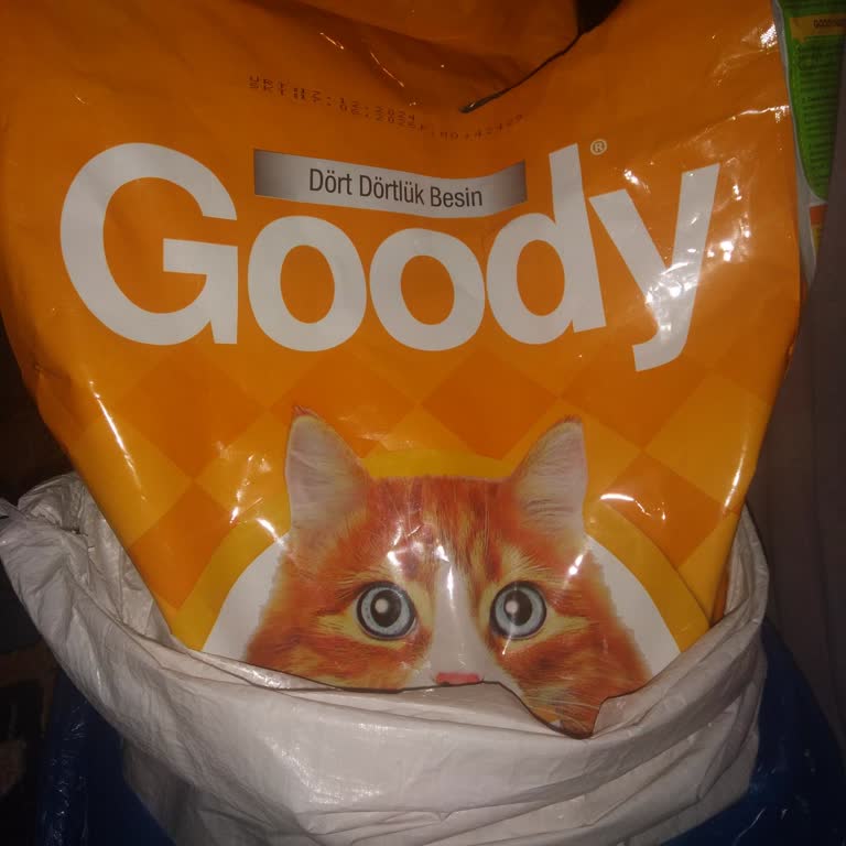 Kötü Kokulu Kedi Maması Ve Güven Sorunu