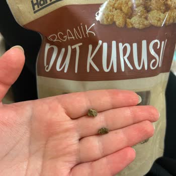 Harras Organik Dut Kurusunda Taş Parçaları: Diş Kırma Tehlikesi