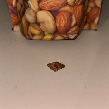 Kuruyemiş Paketi İçinden Taş Çıktı!