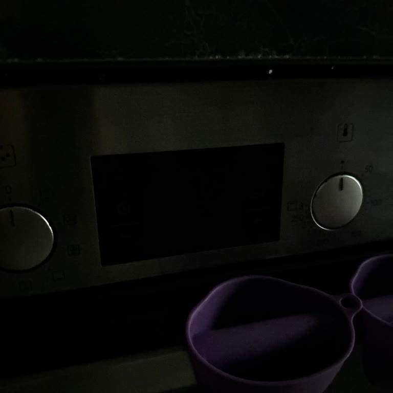 Bosch Fırın Saat Göstergesi Aniden Bozuldu