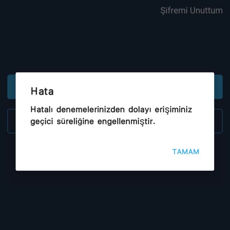 Bitexen Şifre Sorunu Ve Erişim Engeli