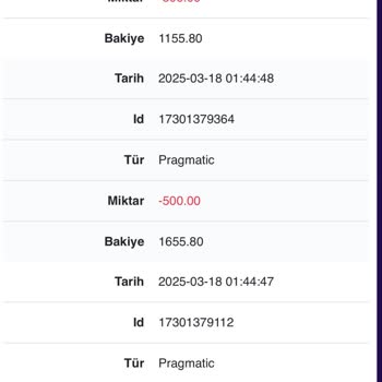 Beklenmedik Bakiye Kaybı Ve Destek Sorunları