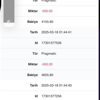 Beklenmedik Bakiye Kaybı Ve Destek Sorunları