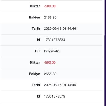 Beklenmedik Bakiye Kaybı Ve Destek Sorunları