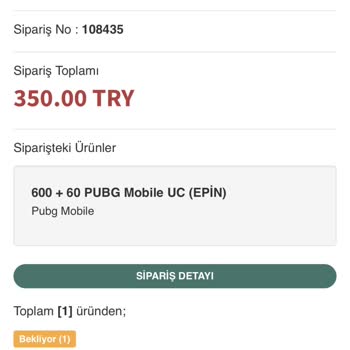 PUBG Mobile UC Siparişim Halen Yüklenmedi