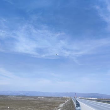 Uçuş Öncesi Engellilere Saygısızlık Ve İnatçı Personel Sorunu