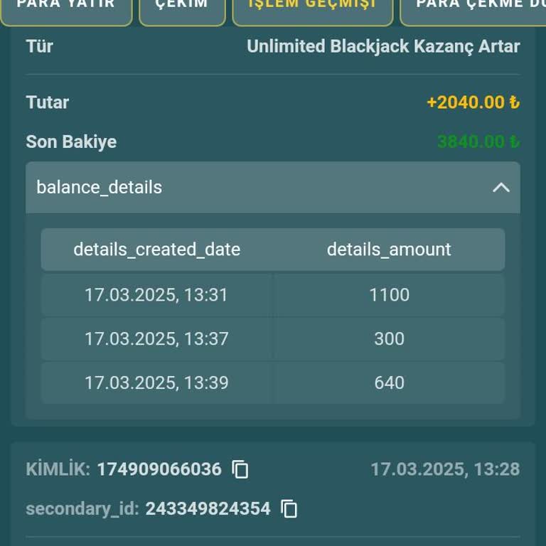 Nesinecasino'da Kazanç Yanlış Hesaplandı!