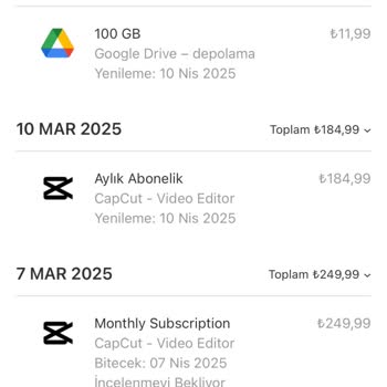 Capcut Uygulaması Çifte Ödeme Sorunu Ve İade Zorluğu