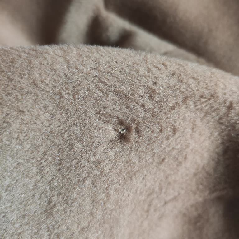 Tuğbaca Butik'ten Aldığım Hasarlı Kaban İçin Çözüm Bekliyorum!