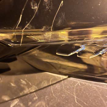 Sokak Köpeklerinin Tehlikesi Ve Maddi Zarar