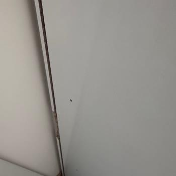Vivense Kırık Dolap Ve İletişim Sorunları: Müşteri Mağduriyeti