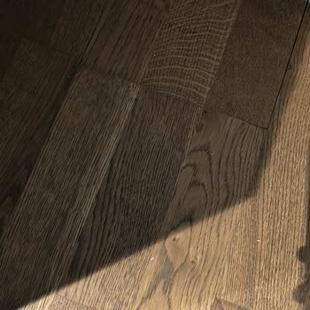 Roborock S8 Sonic Mopping: Su Sızdırma Ve Müşteri Hizmetleri Hayal Kırıklığı