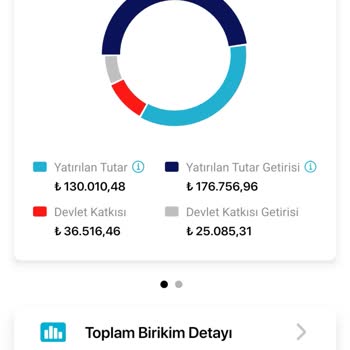 Altın Fonu Birikimindeki Anormallik