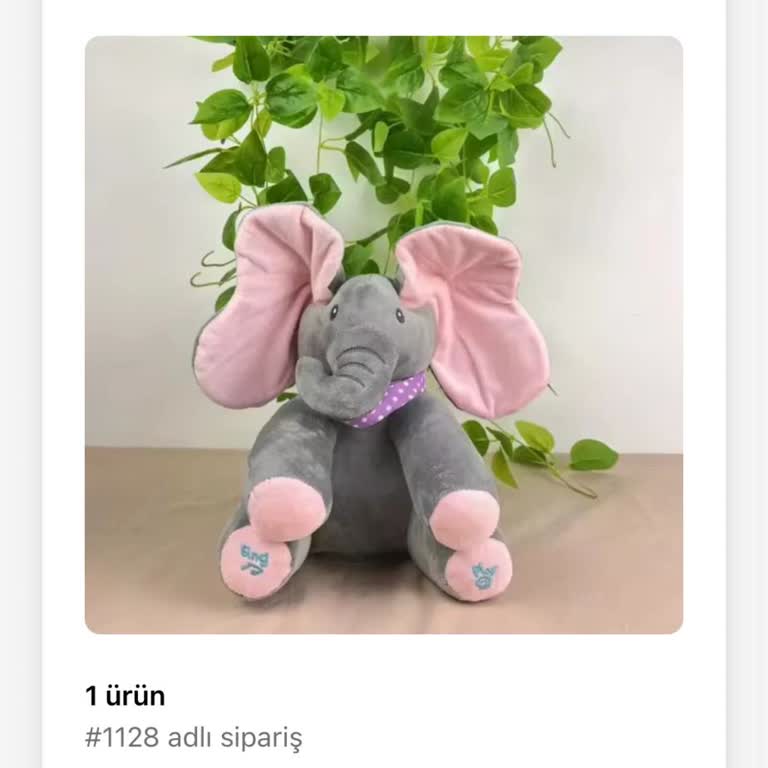 Tiny Talks Siparişim Nerede? Bebeğim Büyüdü!