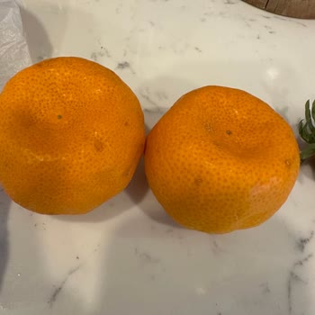 Organik Meyvelerde Hayal Kırıklığı: Mandalina Ve Çilek Sorunları