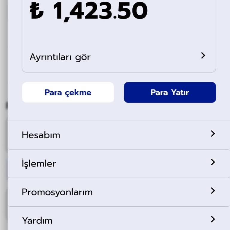 Para Yatırma Sorunu Ve Bakiyenin Görünmemesi