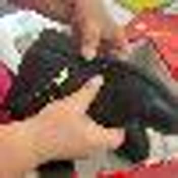 Desa Botlarının Kalitesi Ve Garanti Sorunu