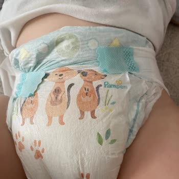 Prima Bezlerde Islaklık Sorunu