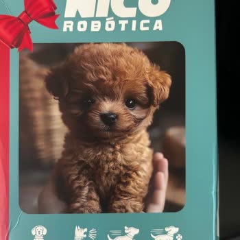 Hayal Kırıklığı Yaratan Robot Köpek Ve İletişim Sorunları