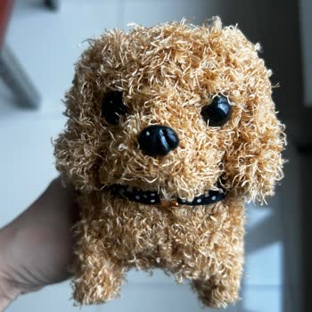 Hayal Kırıklığı Yaratan Robot Köpek Ve İletişim Sorunları