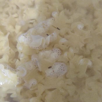 Migros Sanal Market'ten Gelen Makarna Sorunu