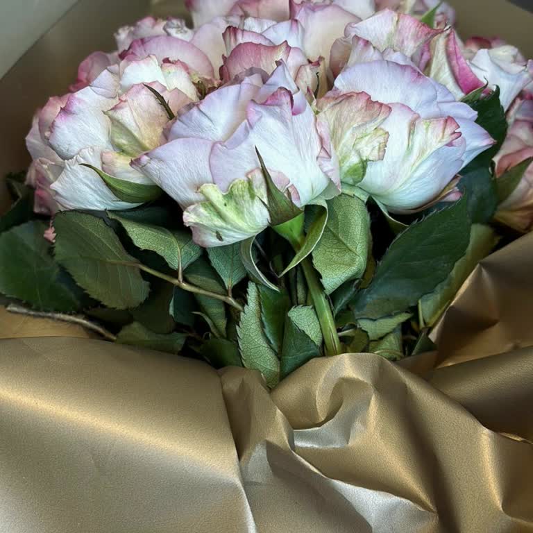 Taze Çiçek | Tazecicek.com Solmuş Güllerle Hayal Kırıklığı: Doğum Günü Sürprizi Hüsranla Sonuçlandı