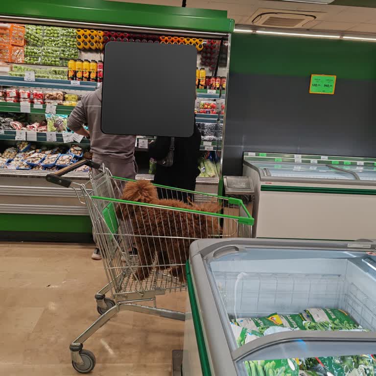 Market Hijyen ve Güvenlik Sorunları