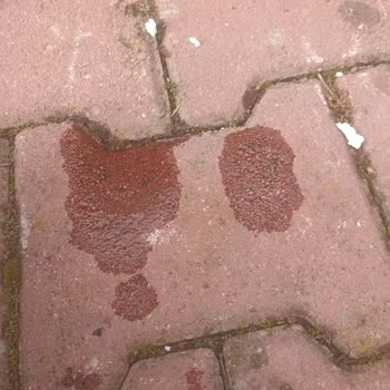 Yağ Sızıntısı Ve İade Sorunu