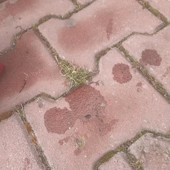 Yağ Sızıntısı Ve İade Sorunu