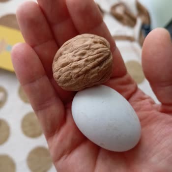 A101'den Aldığım Yumurtaların Boyutu Beklentiyi Karşılamıyor