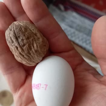 A101'den Aldığım Yumurtaların Boyutu Beklentiyi Karşılamıyor