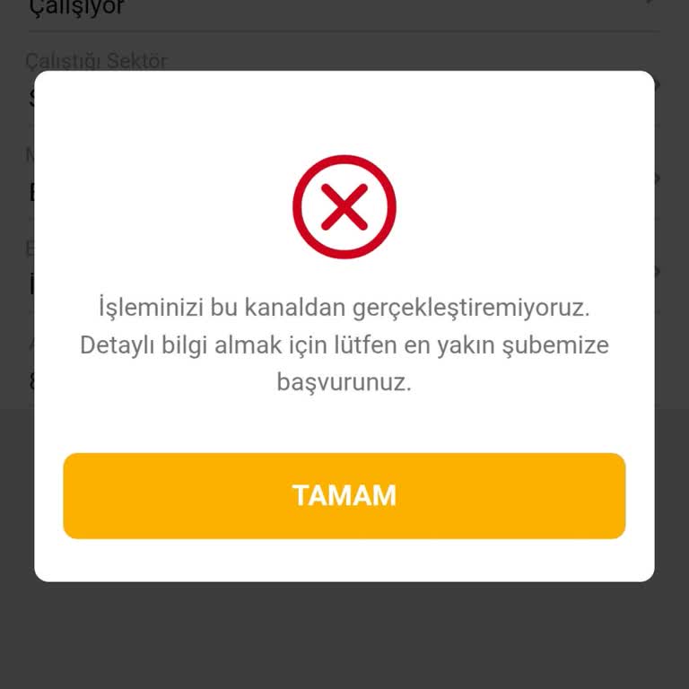 Kredi Başvurusunda Şube Engeli