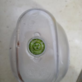 Sürahi Kullanımında Yosunlanma Sorunu Ve Çözüm Talebi