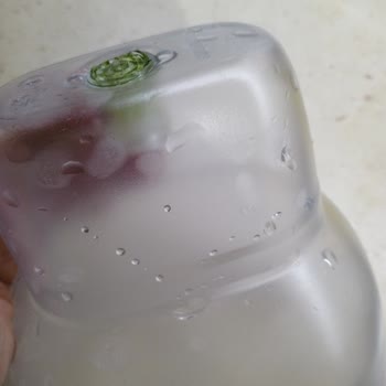 Sürahi Kullanımında Yosunlanma Sorunu Ve Çözüm Talebi