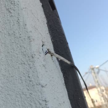 Türk Telekom İnternet Arızası: 10 Gündür Çözüm Bekliyorum