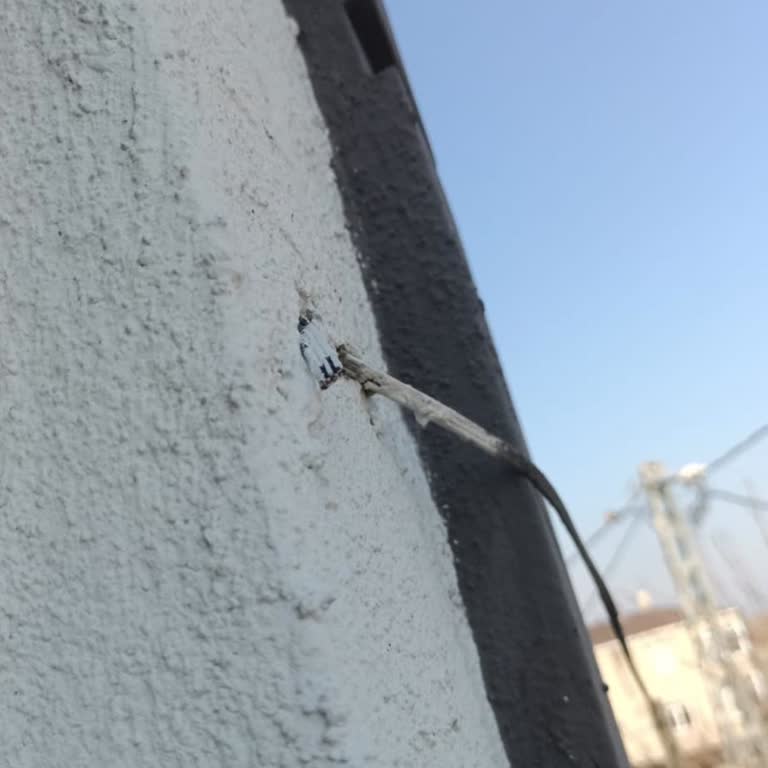 Türk Telekom İnternet Arızası: 10 Gündür Çözüm Bekliyorum