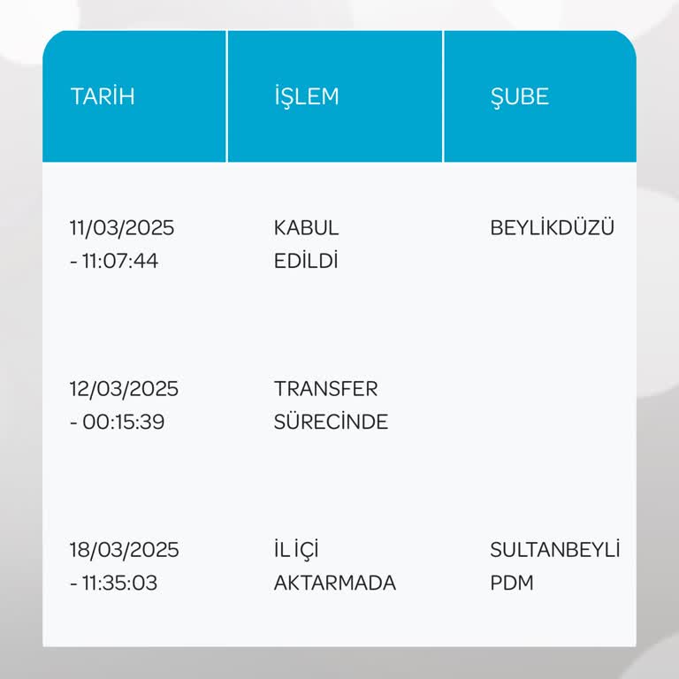 PTT Kargo İle Geciken Teslimat Ve Mahcubiyet