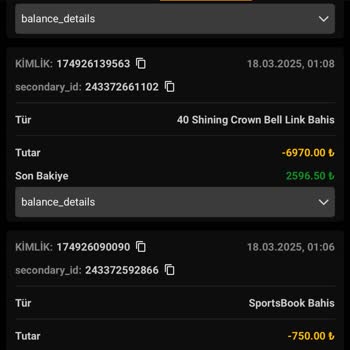 Kazancım Silindi: Oyun Sağlayıcısıyla İletişime Geçin Dediler