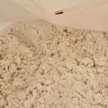 Sinangil Tam Buğday Ununda Böcek Sorunu