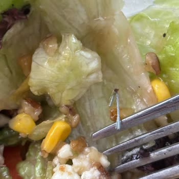 Paket Mutfak Master Salad Verdiğim Siparişten Zımba Teli Çıktı
