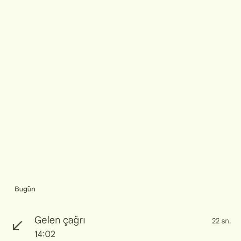 Beklenmedik Telefon Araması Sonrası Yetkisiz İşlemlerle Karşılaşma