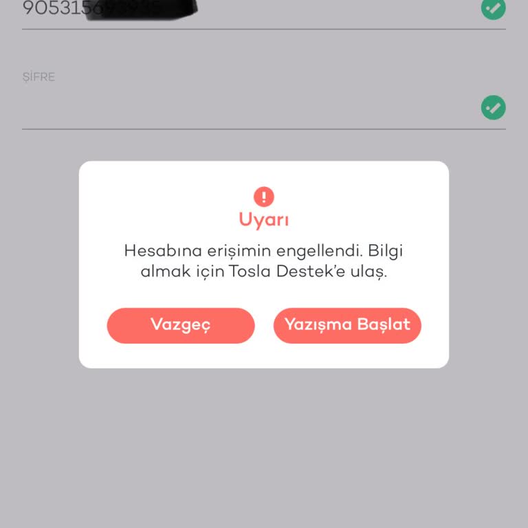 Tosla Hesabına Erişim Engeli Ve Yetersiz Destek