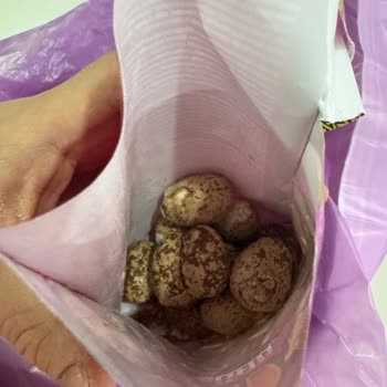 Bozulmuş Çikolata: Gıda Güvenliği Tehlikesi